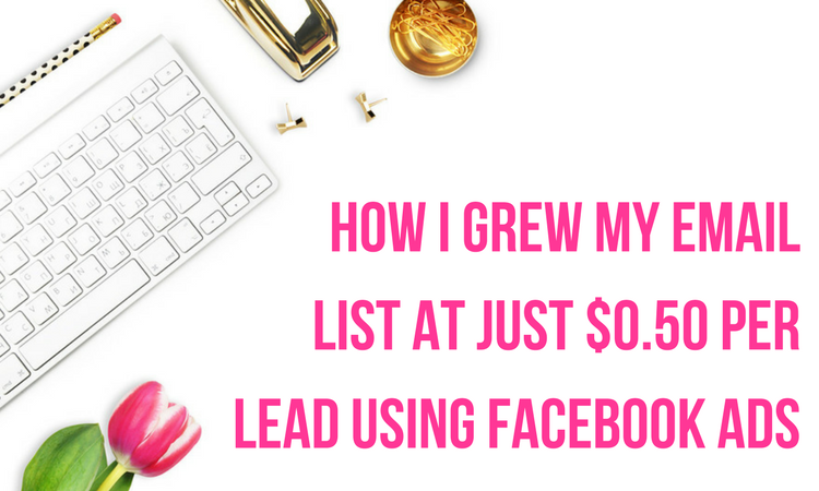 Detailed Facebook ads case study: step by step guide broken down to explain exactly what I did to grow my subscriber list, at less than $0.50 per lead