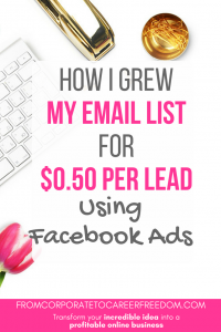 A detailed case study outlining the exact steps I took to gain over 500 email subscribers using facebook ads, and paying only $0.50 per lead