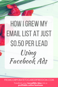 how i grew my email list using facebook ads