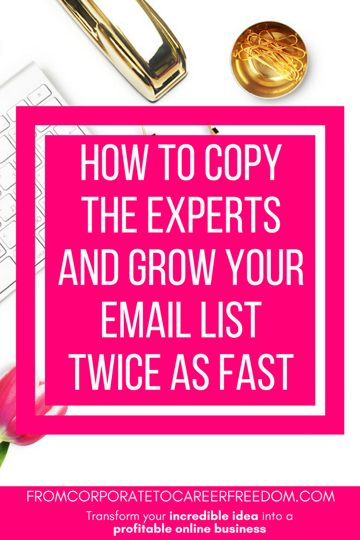 how to copy the experts and use social media and a landing page to grow your email list rapidly, subscribers, list building, email marketing, online marketing, growing a blog
